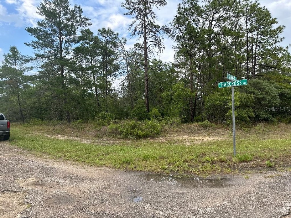 6533 N Harcross Avenue Dunnellon FL 34433 S5108245 image1