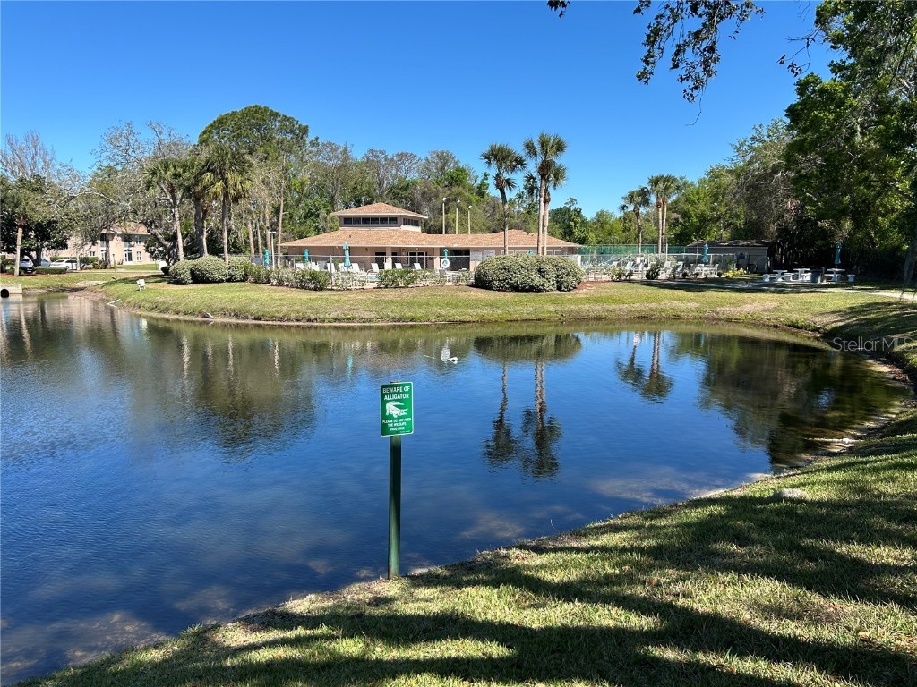 6533 Spring Flower Drive #11 New Port Richey FL 34653 W7873922 image1