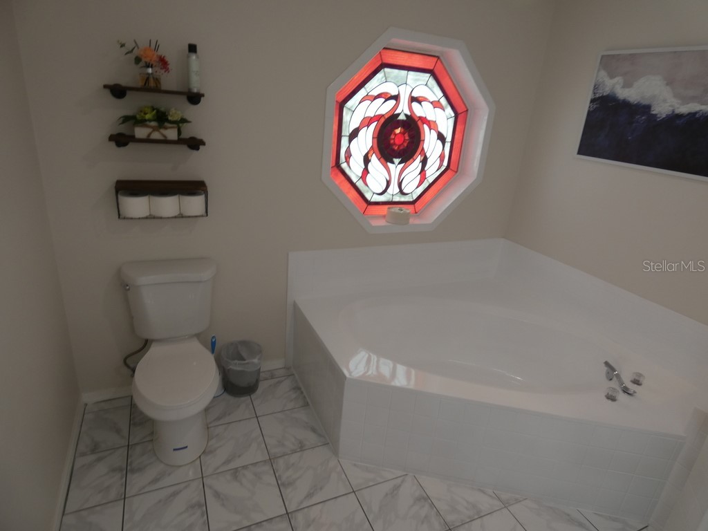 6534 Foxmoor Drive Zephyrhills FL 33542 W7878857 image13