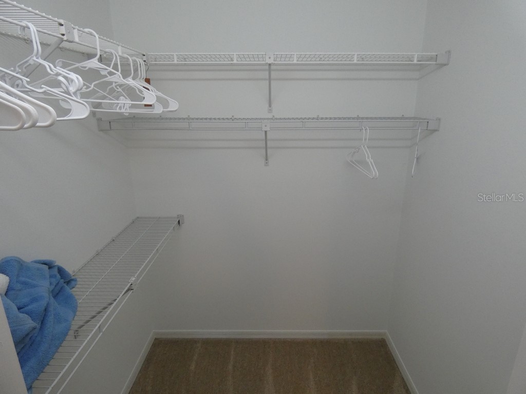 6534 Foxmoor Drive Zephyrhills FL 33542 W7878857 image15