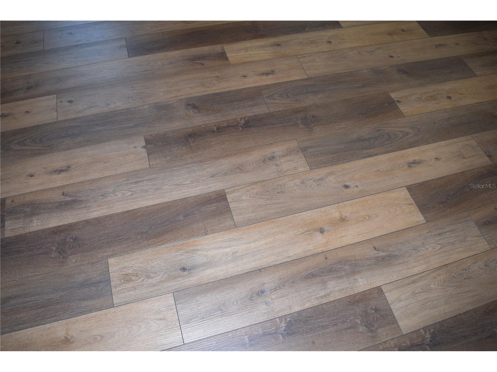6534 Wayne Street Saint Petersburg FL 33702 TB8505106 image13