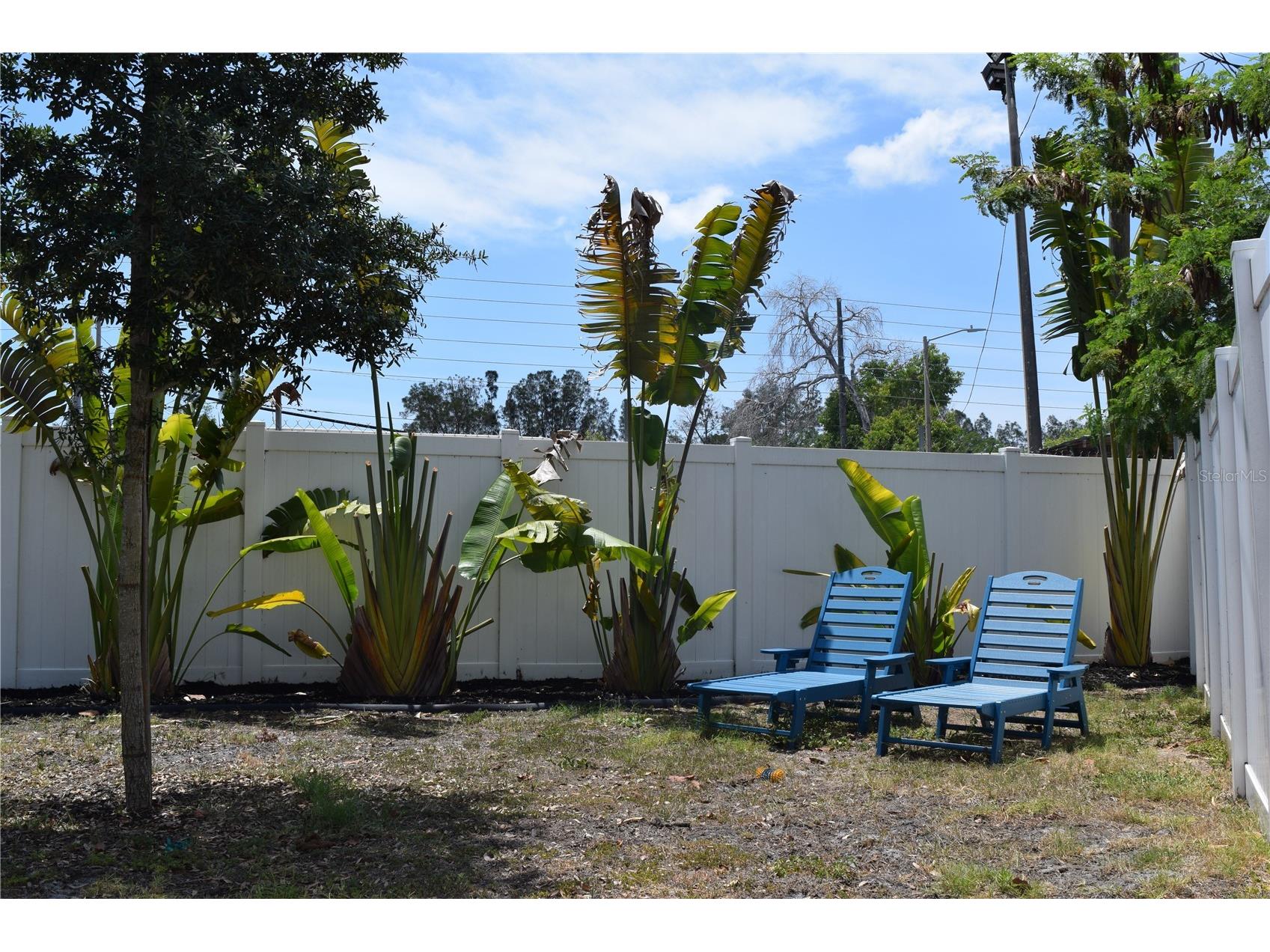6534 Wayne Street Saint Petersburg FL 33702 TB8505106 image14