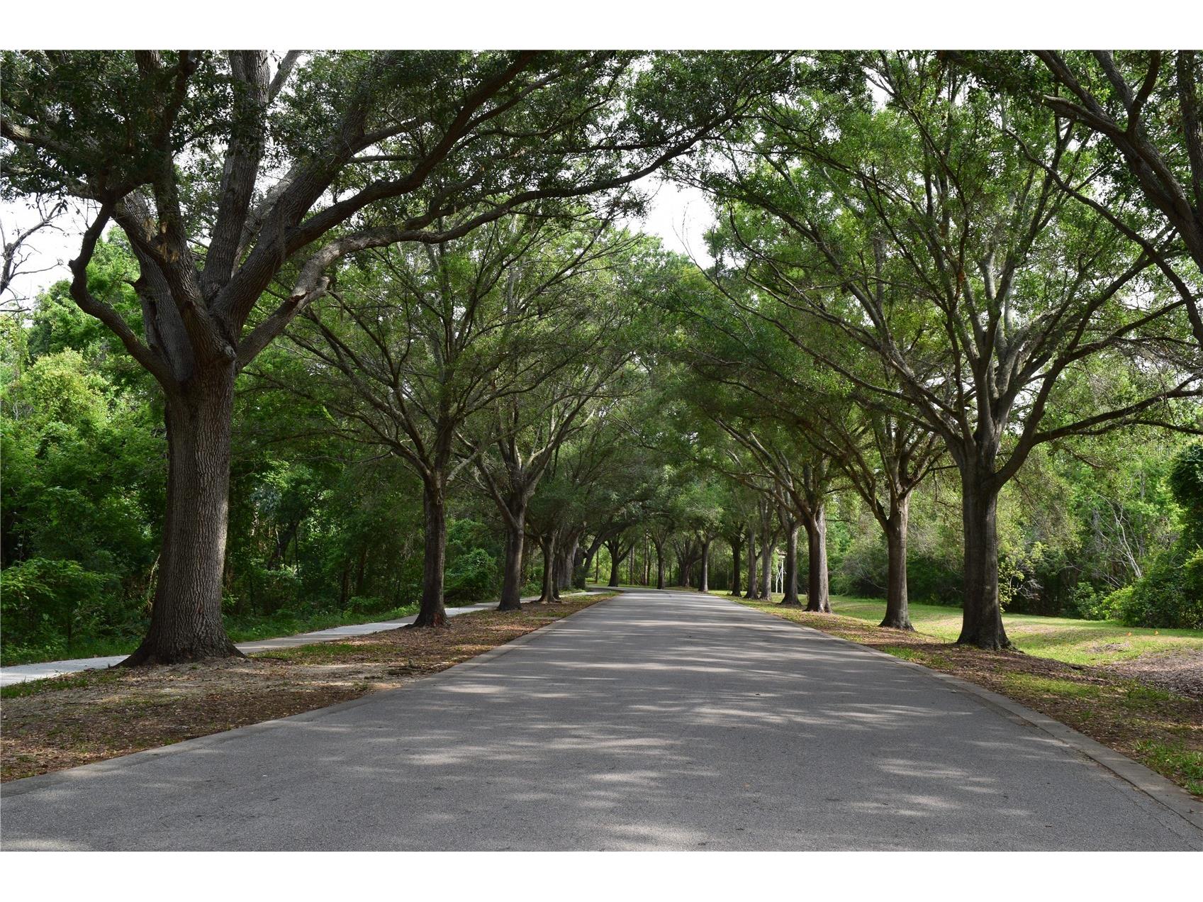 6534 Wayne Street Saint Petersburg FL 33702 TB8505106 image15