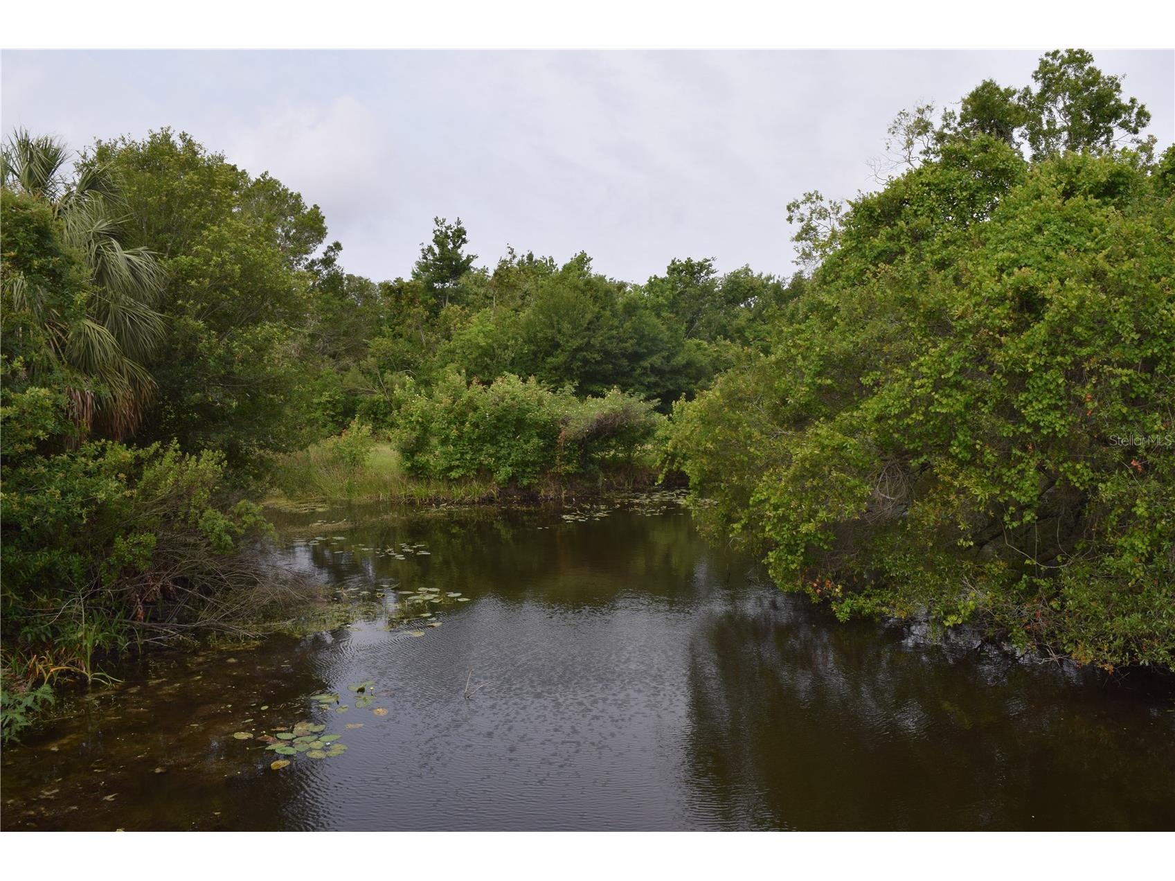 6534 Wayne Street Saint Petersburg FL 33702 TB8505106 image16