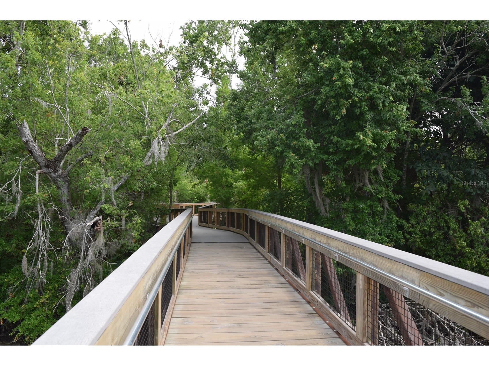 6534 Wayne Street Saint Petersburg FL 33702 TB8505106 image17