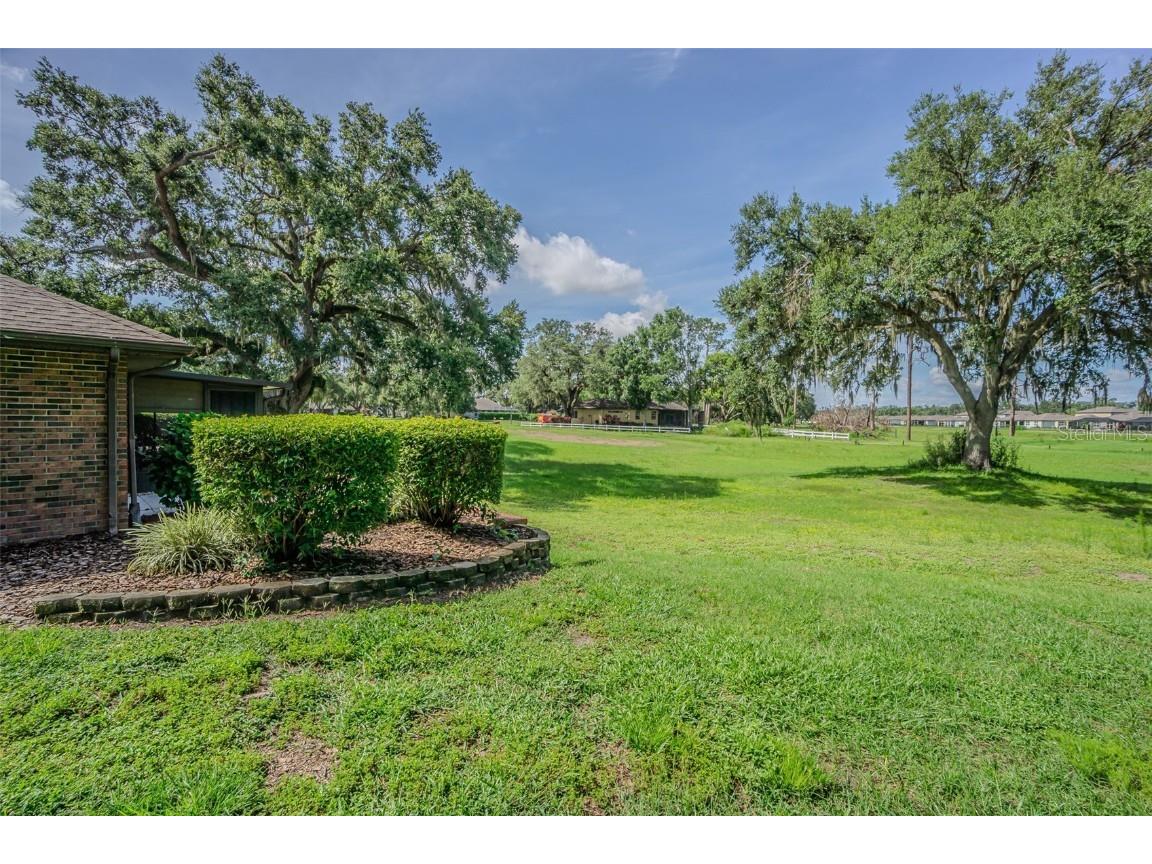 6535 Brentwood Drive Zephyrhills FL 33542 TB8405615 image25