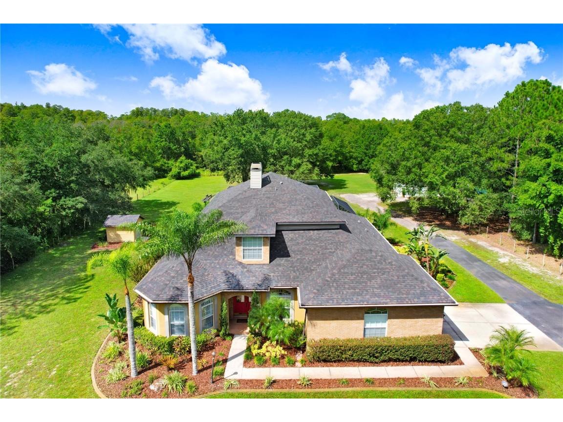 6535 Lake Irene Drive Land O Lakes FL 34638 TB8306705 image1