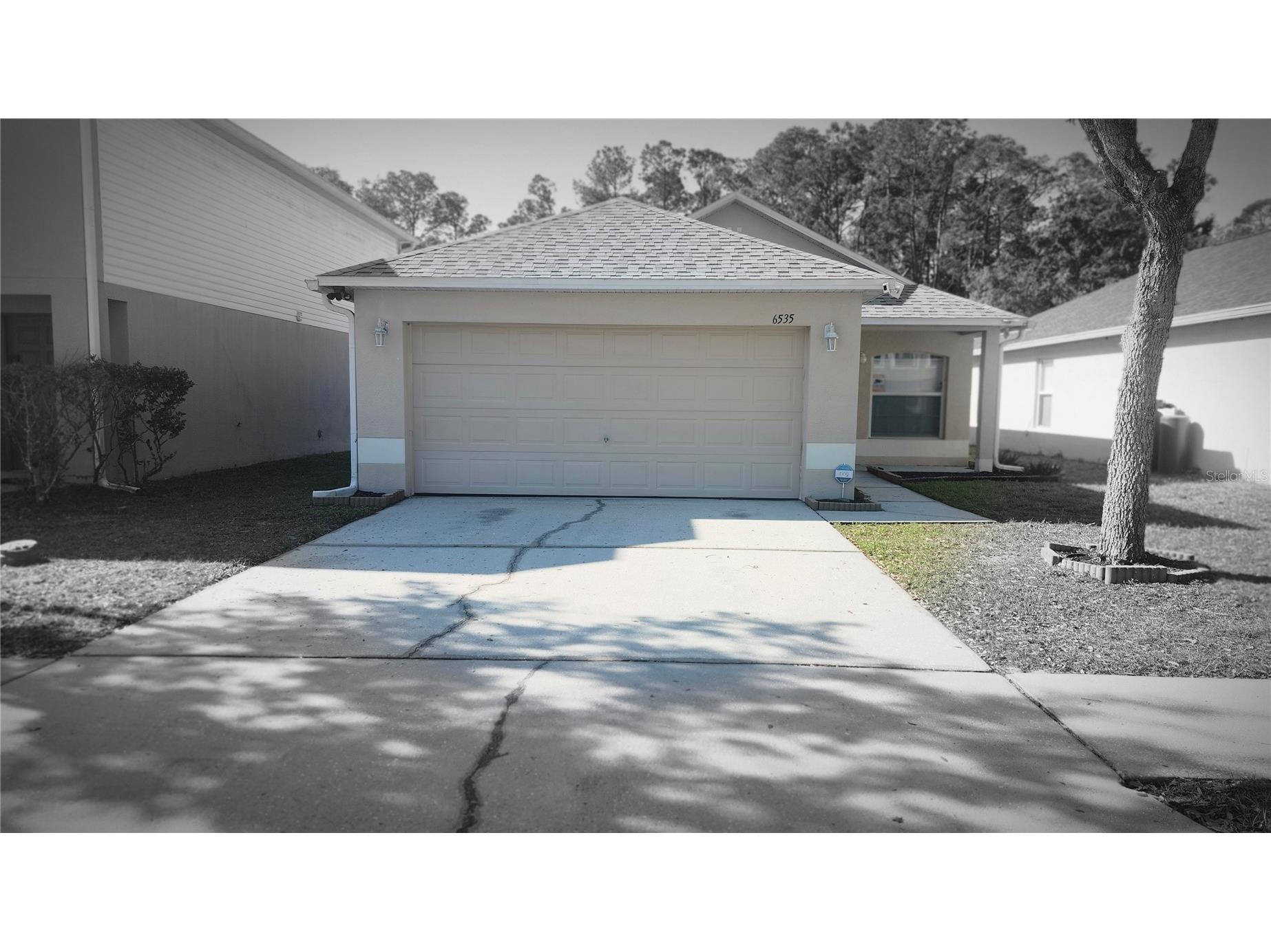 6535 Tabogi Trail Wesley Chapel FL 33544 TB8506964 image1