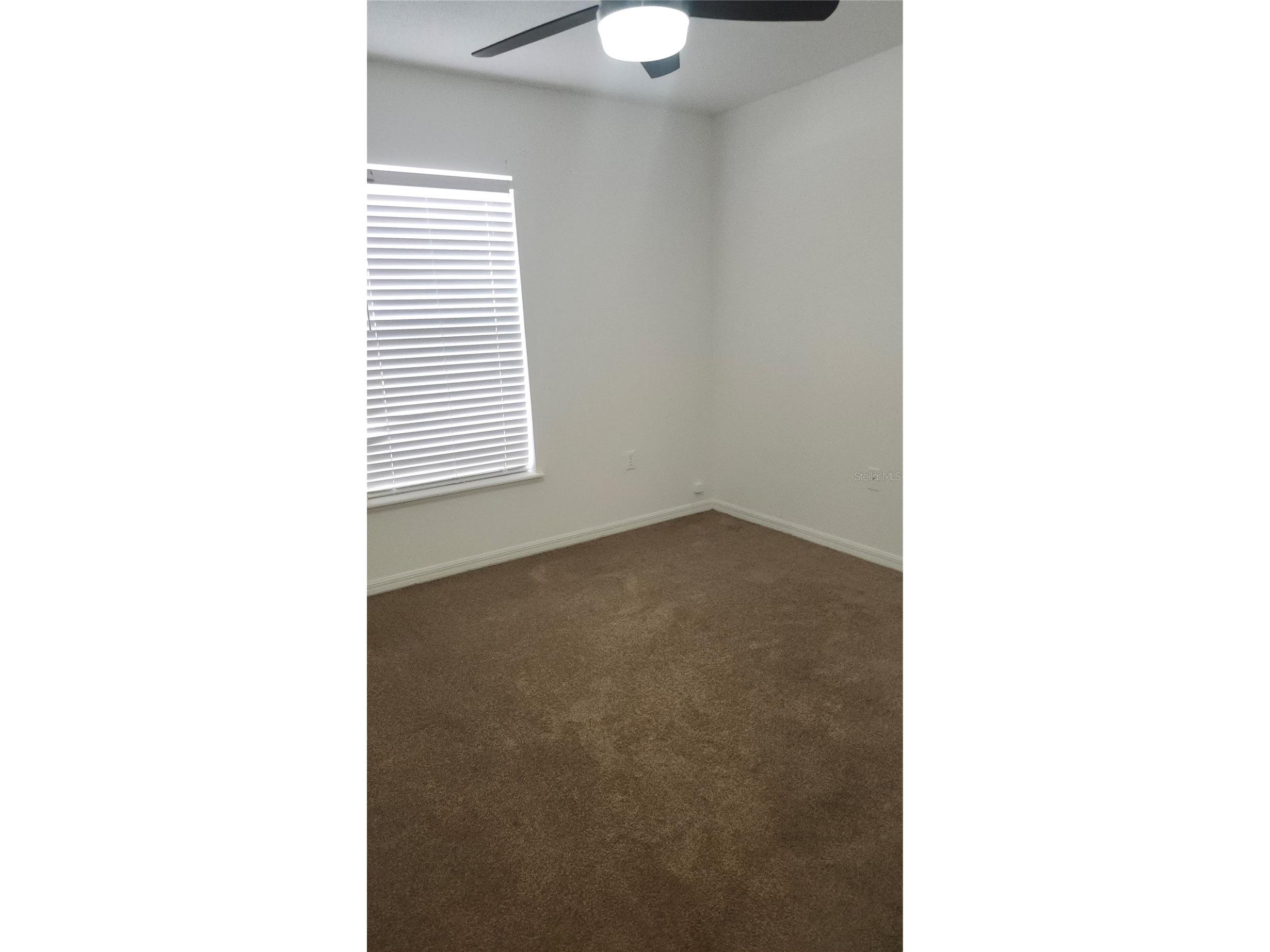 6535 Tabogi Trail Wesley Chapel FL 33544 TB8506964 image14