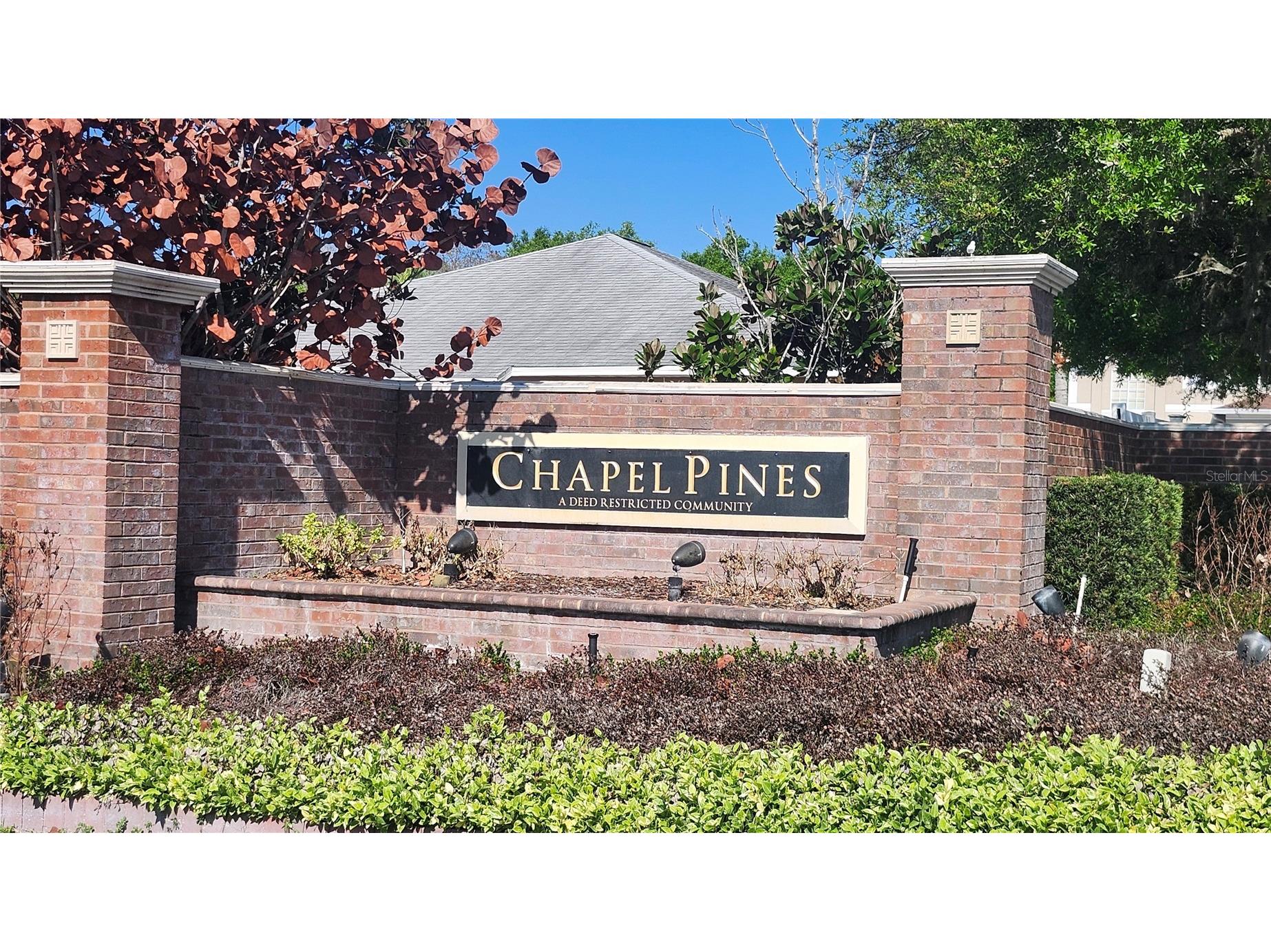 6535 Tabogi Trail Wesley Chapel FL 33544 TB8506964 image26