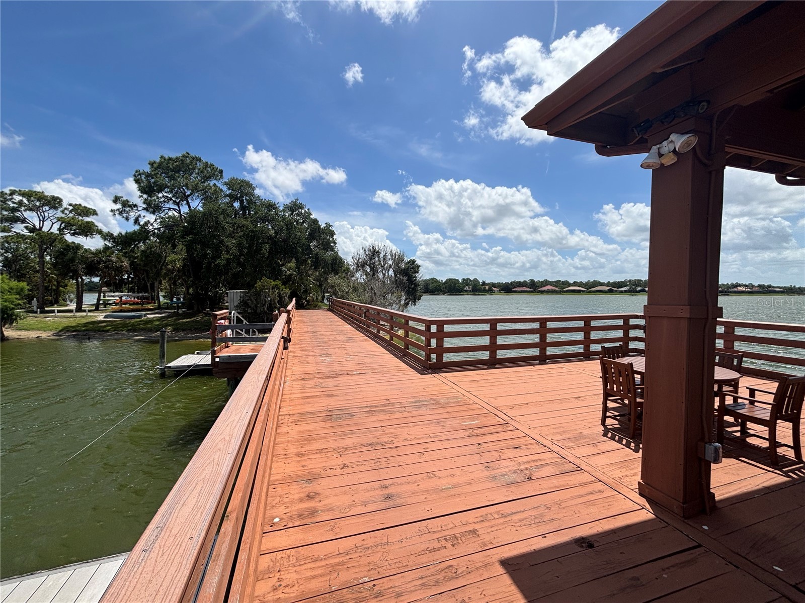 6536 Moorings Point Circle #101 Lakewood Ranch FL 34202 A4693212 image43