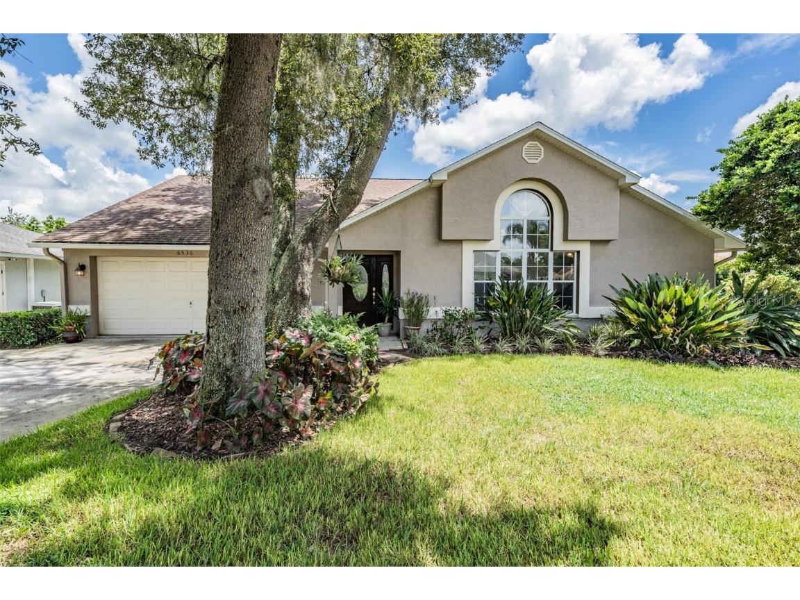 6536 Northlake Drive Zephyrhills FL 33542 T3545068 image11