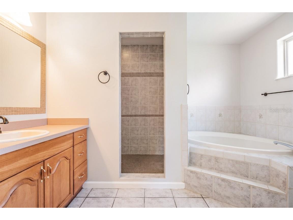 6536 Northlake Drive Zephyrhills FL 33542 T3545068 image13