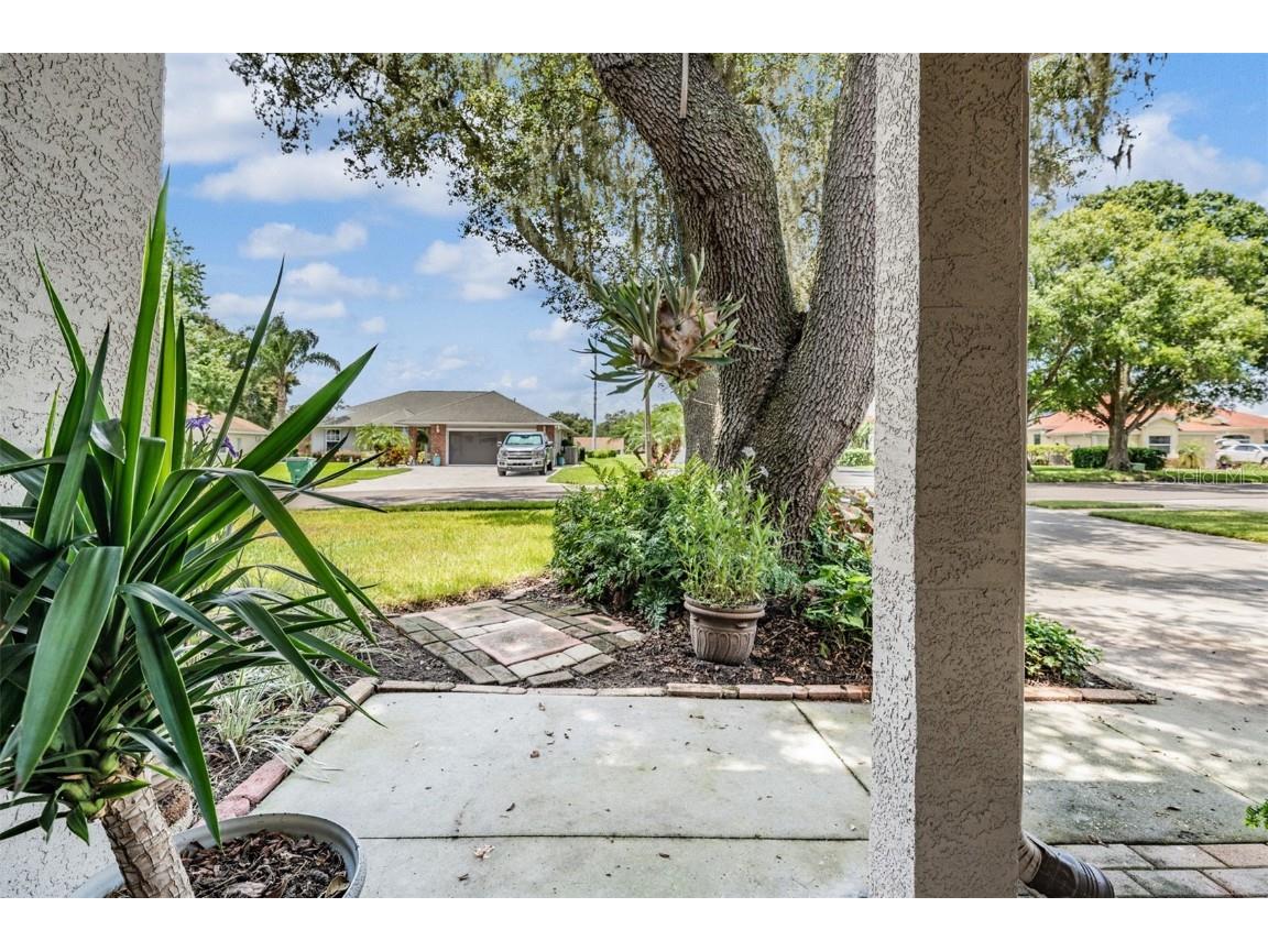 6536 Northlake Drive Zephyrhills FL 33542 T3545068 image2