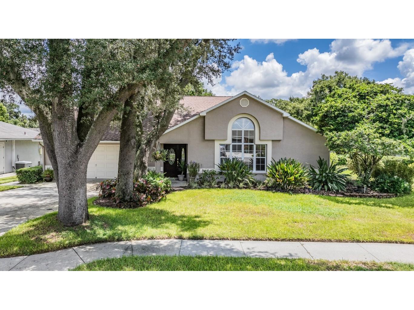 6536 Northlake Drive Zephyrhills FL 33542 T3545068 image21