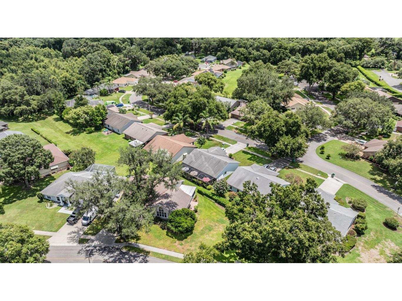 6536 Northlake Drive Zephyrhills FL 33542 T3545068 image35