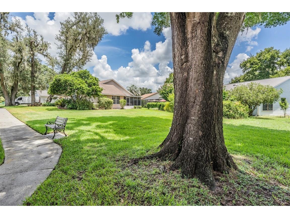 6536 Northlake Drive Zephyrhills FL 33542 T3545068 image36