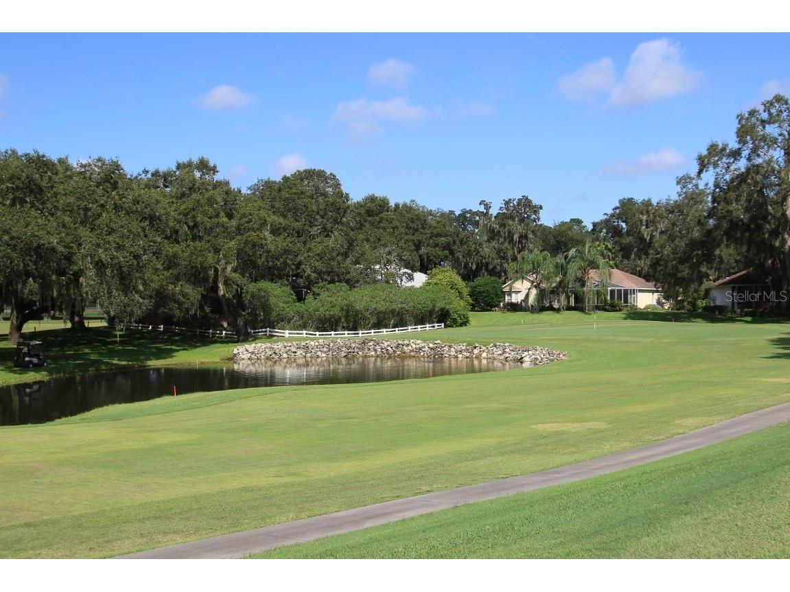 6536 Northlake Drive Zephyrhills FL 33542 T3545068 image41