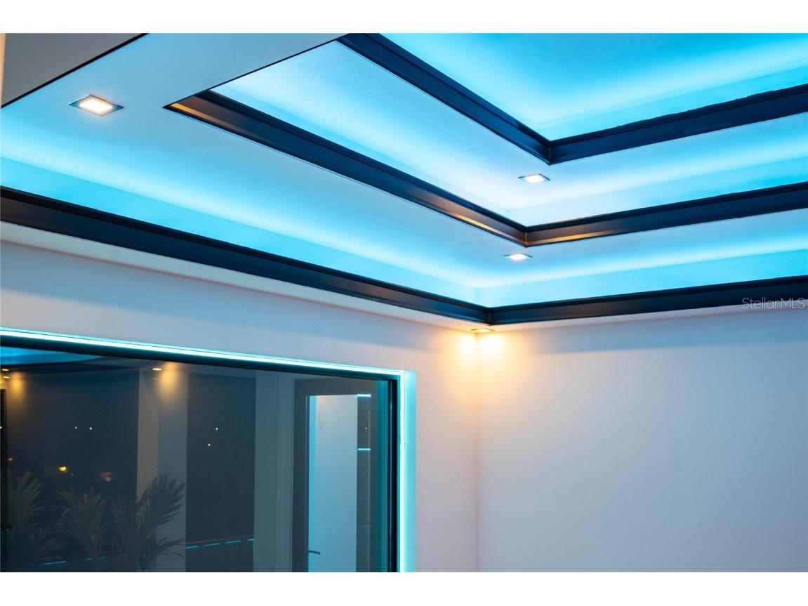 6536 Simone Shores Circle Apollo Beach FL 33572 TB8346839 image25