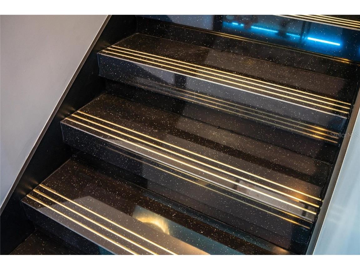 6536 Simone Shores Circle Apollo Beach FL 33572 TB8346839 image78