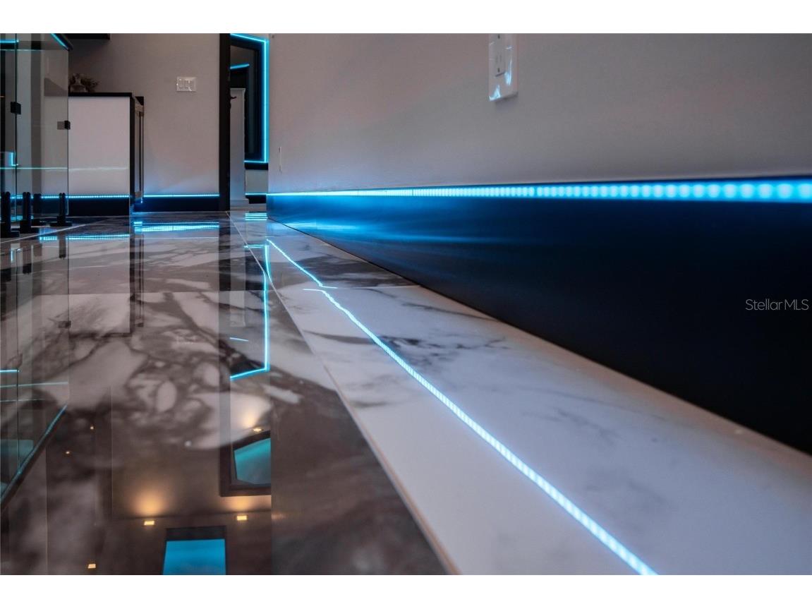 6536 Simone Shores Circle Apollo Beach FL 33572 TB8346839 image80