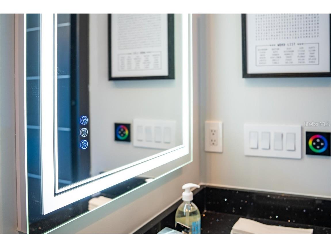 6536 Simone Shores Circle Apollo Beach FL 33572 TB8346839 image81