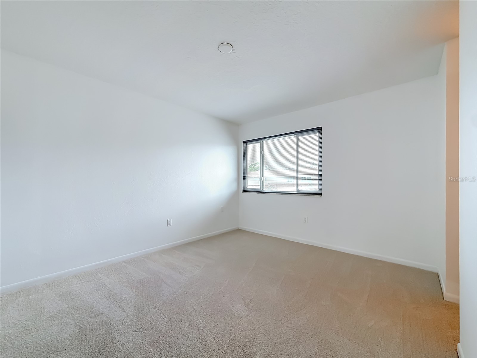 6537 Cape Hatteras Way NE #2 Saint Petersburg FL 33702 TB8529984 image30