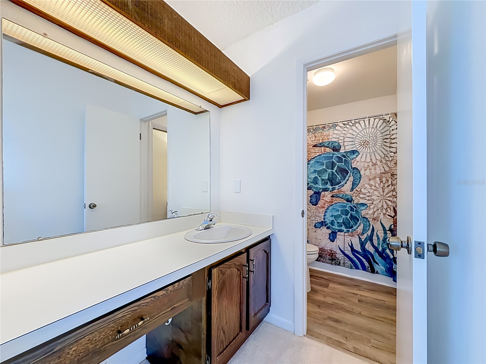 6537 Cape Hatteras Way NE #2 Saint Petersburg FL 33702 TB8529984 image34