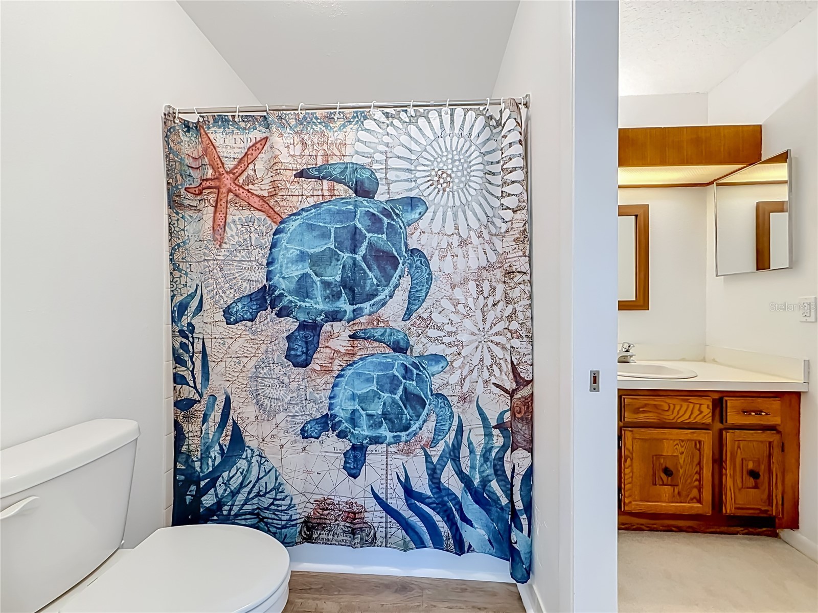 6537 Cape Hatteras Way NE #2 Saint Petersburg FL 33702 TB8529984 image35