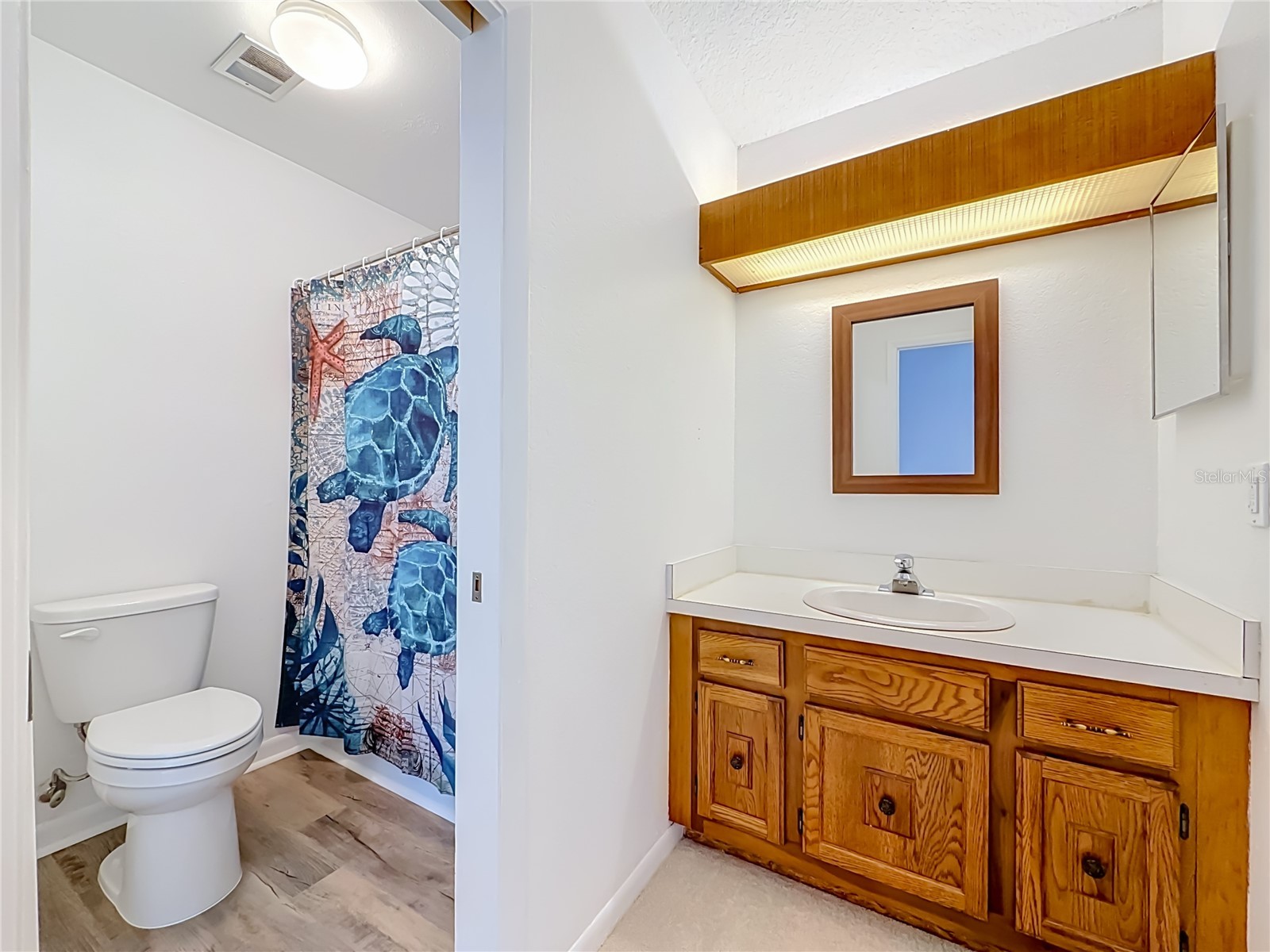 6537 Cape Hatteras Way NE #2 Saint Petersburg FL 33702 TB8529984 image38