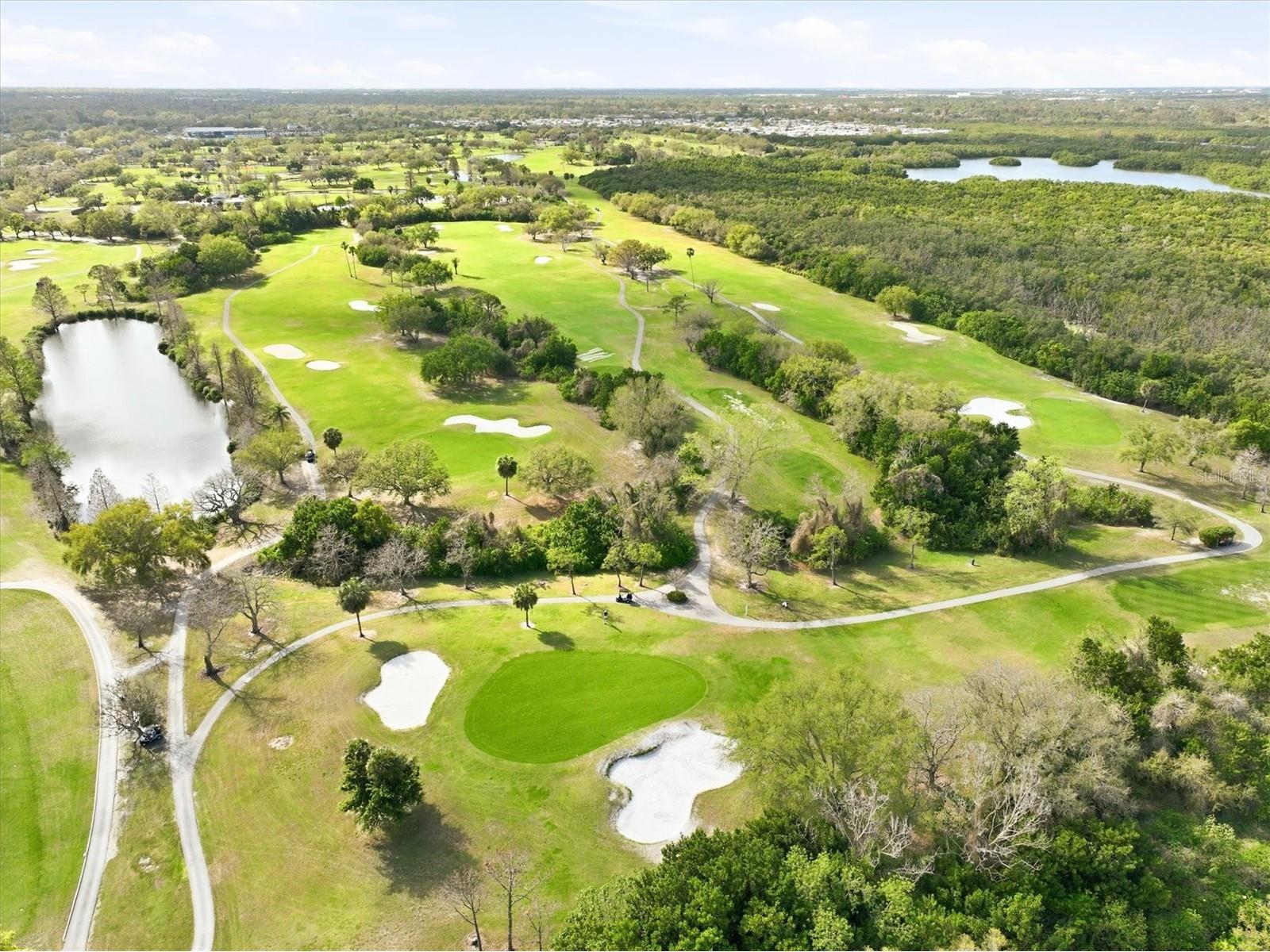 6537 Cape Hatteras Way NE #4 Saint Petersburg FL 33702 - BAYOU GRANDE TB8485295 image69