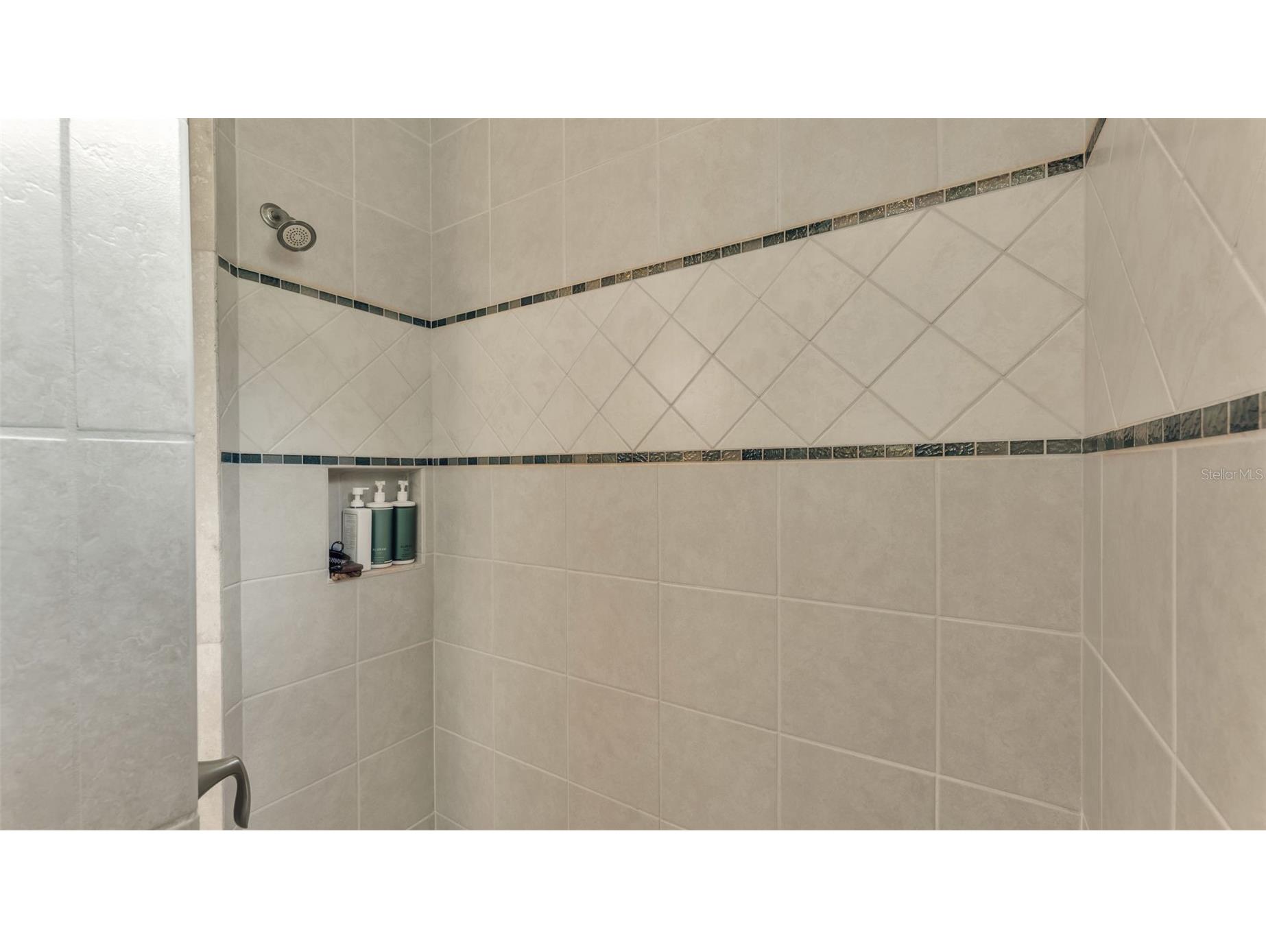 6538 Eagle View Loop Lakeland FL 33813 L4961372 image31