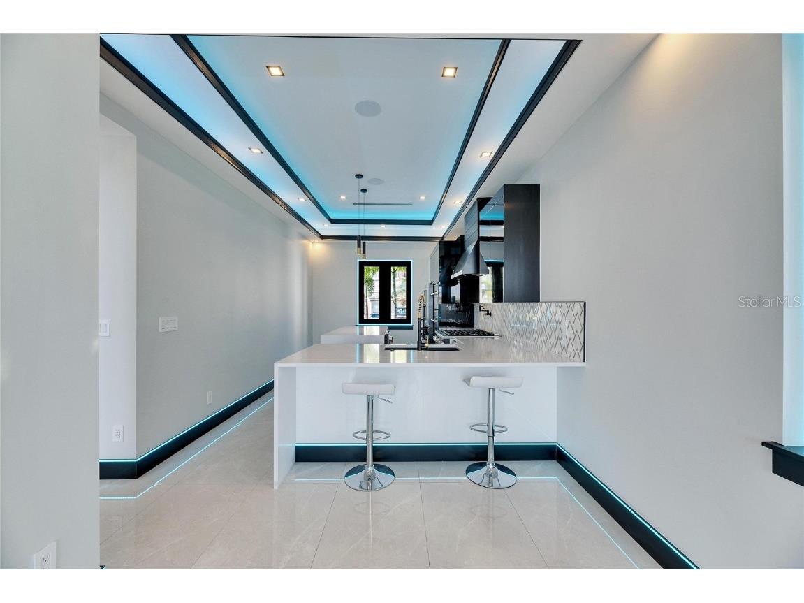 6538 Simone Shores Circle Apollo Beach FL 33572 TB8346840 image25