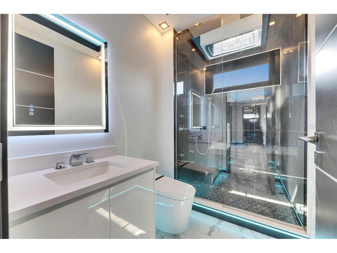 6538 Simone Shores Circle Apollo Beach FL 33572 TB8346840 image57