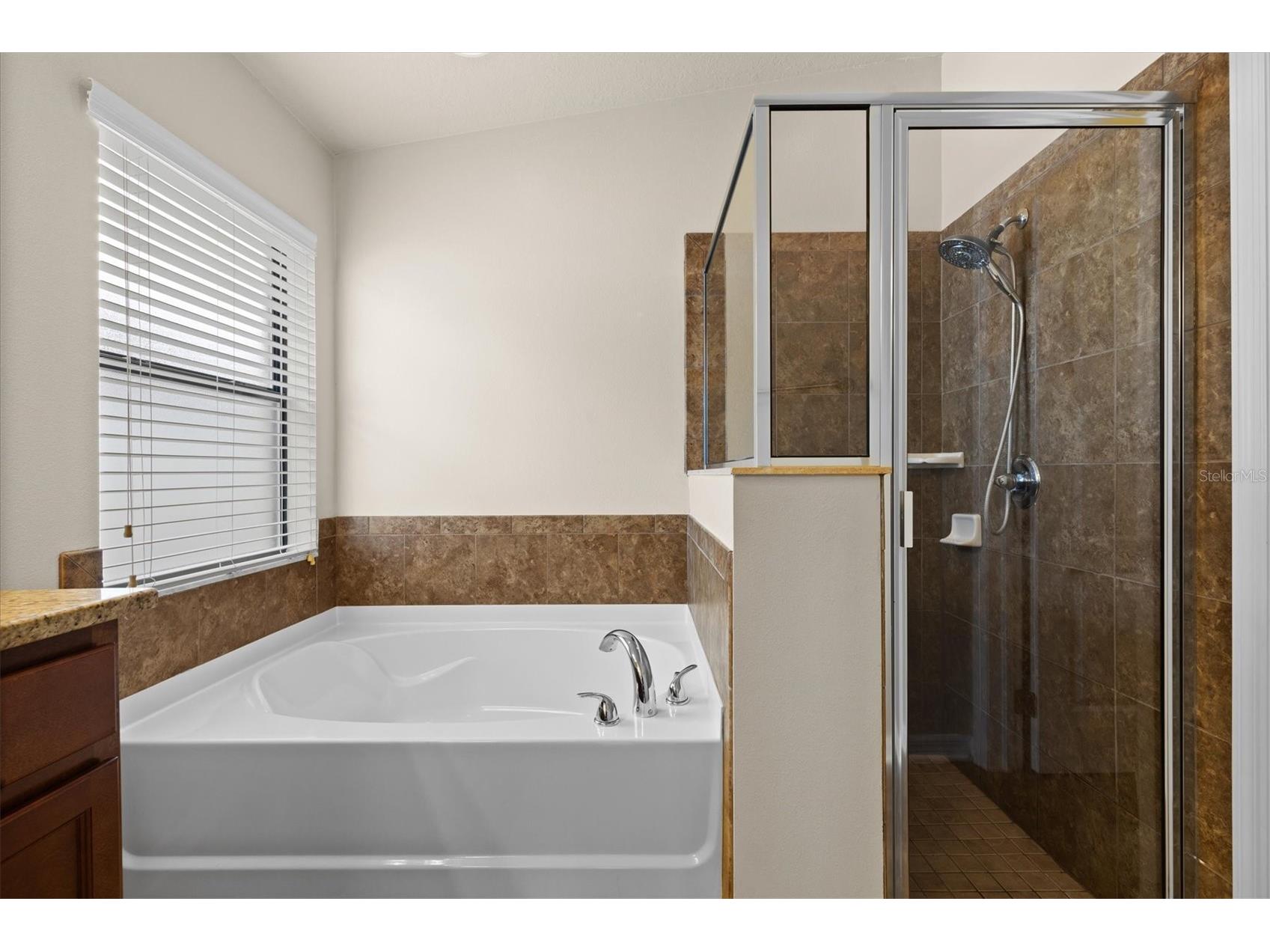 6539 Boulder Run Loop Wesley Chapel FL 33545 TB8488129 image27