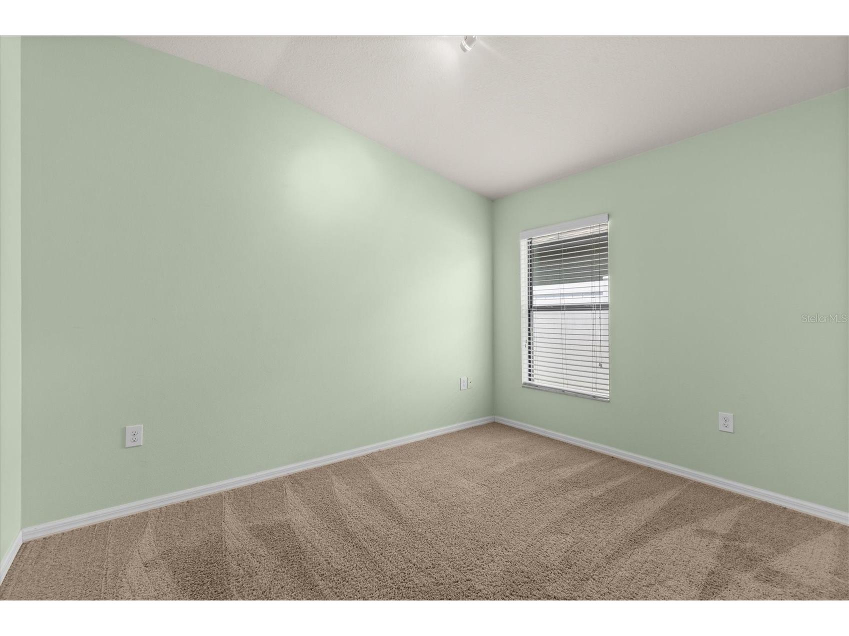 6539 Boulder Run Loop Wesley Chapel FL 33545 TB8488129 image34