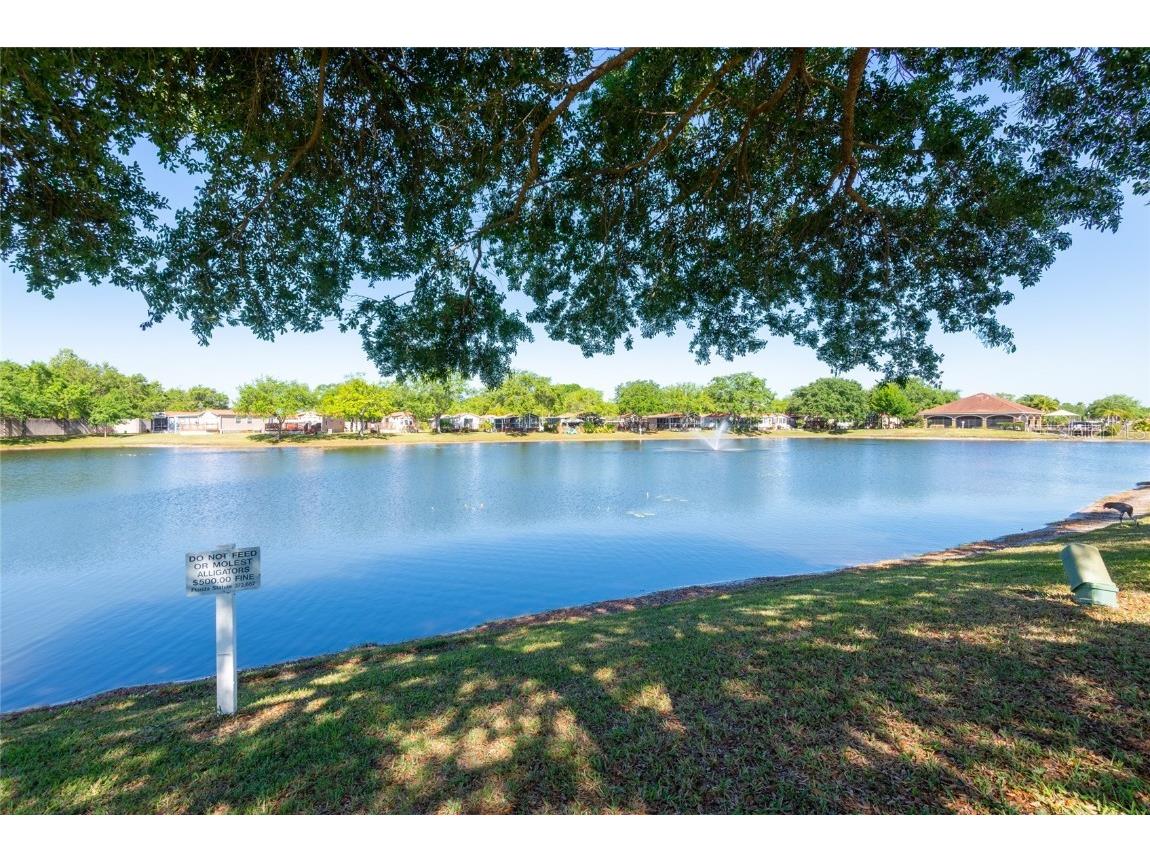 6539 La Mesa Road Land O Lakes FL 34637 - LAKE BONITA U8195186 image1