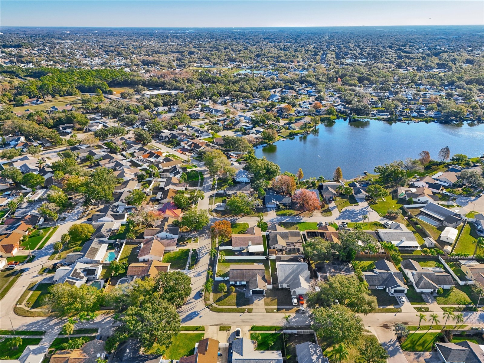 6539 Seafairer Drive Tampa FL 33615 TB8471953 image49