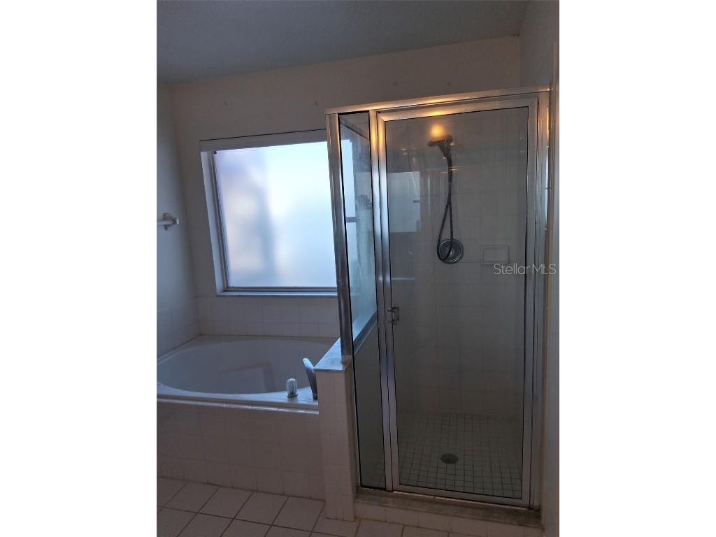 654 Bent Oak Loop Davenport FL 33837 B4902110 image44