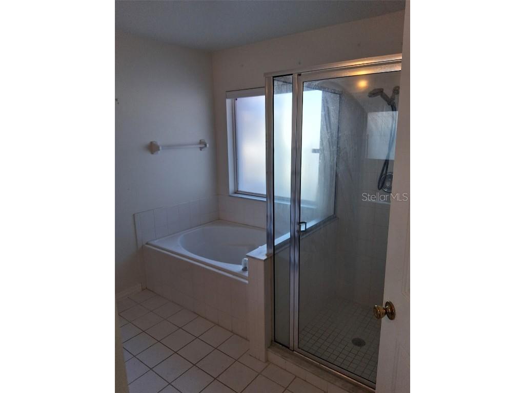 654 Bent Oak Loop Davenport FL 33837 B4902110 image45