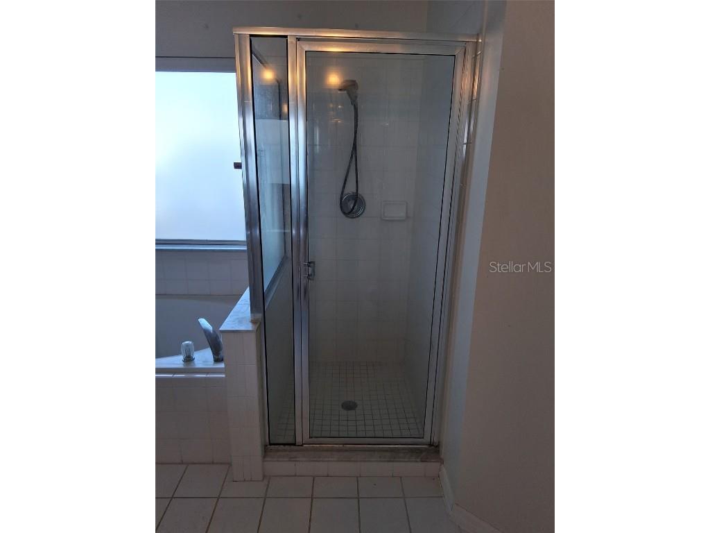 654 Bent Oak Loop Davenport FL 33837 B4902110 image46