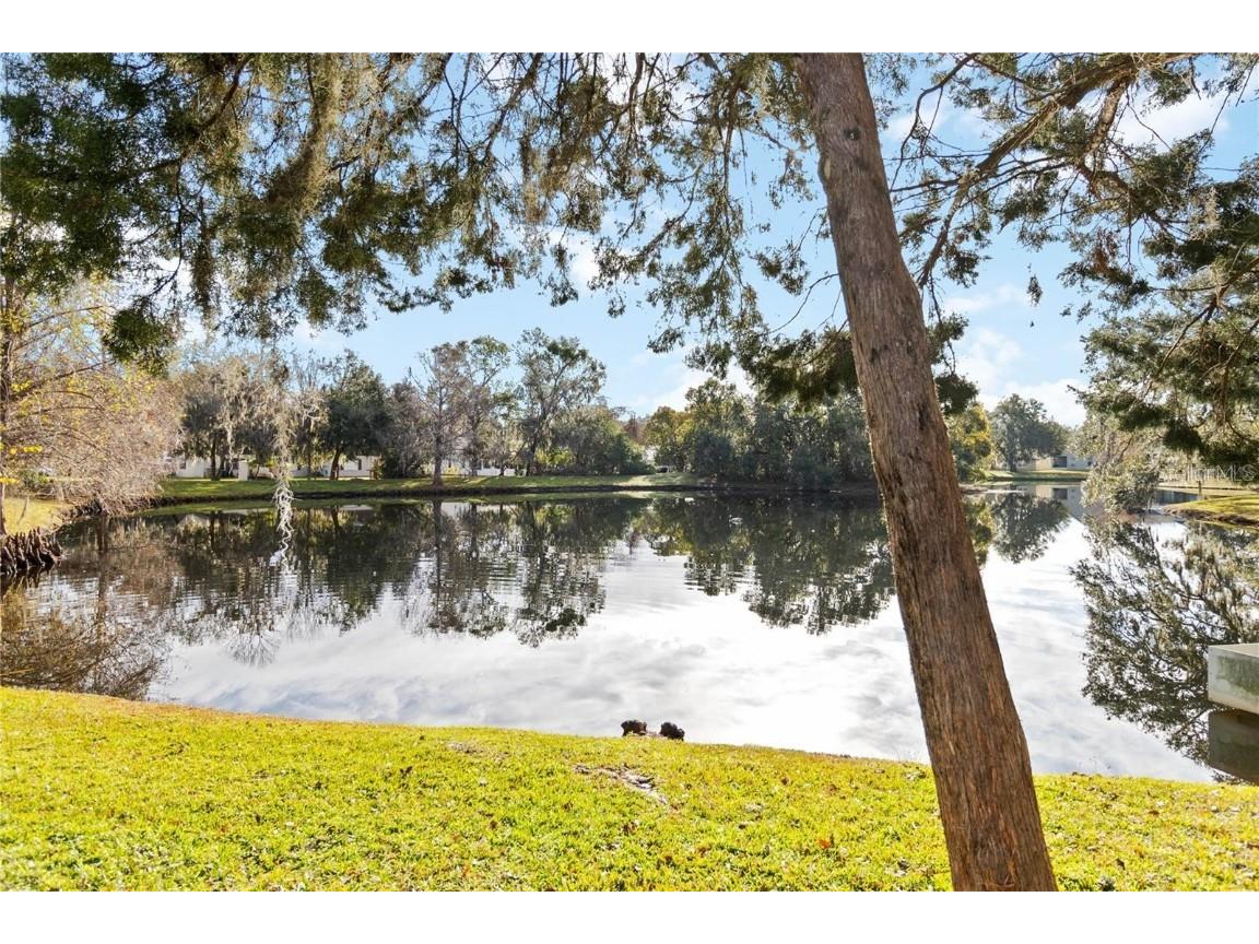 654 Star Magnolia Drive Kissimmee FL 34744 O6319528 image23