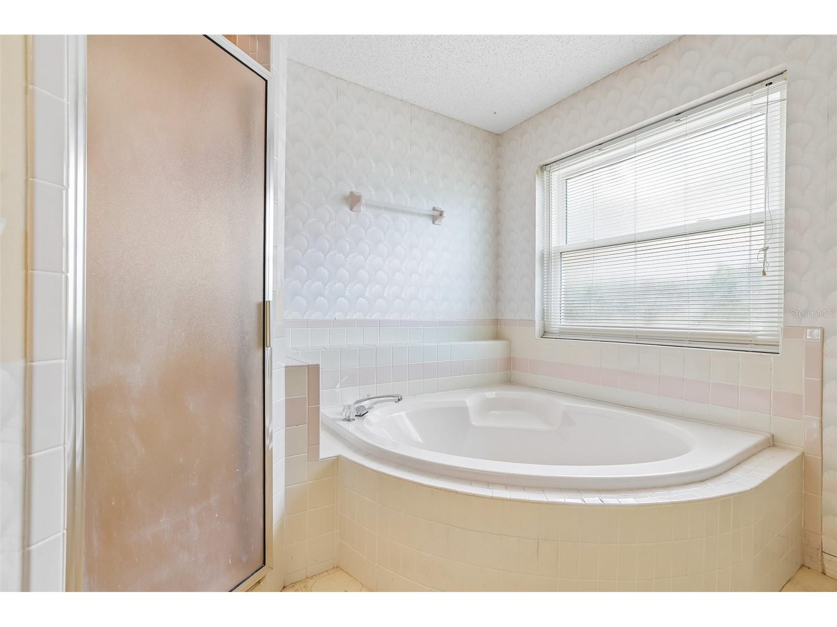6540 Foxmoor Drive Zephyrhills FL 33542 L4962788 image34