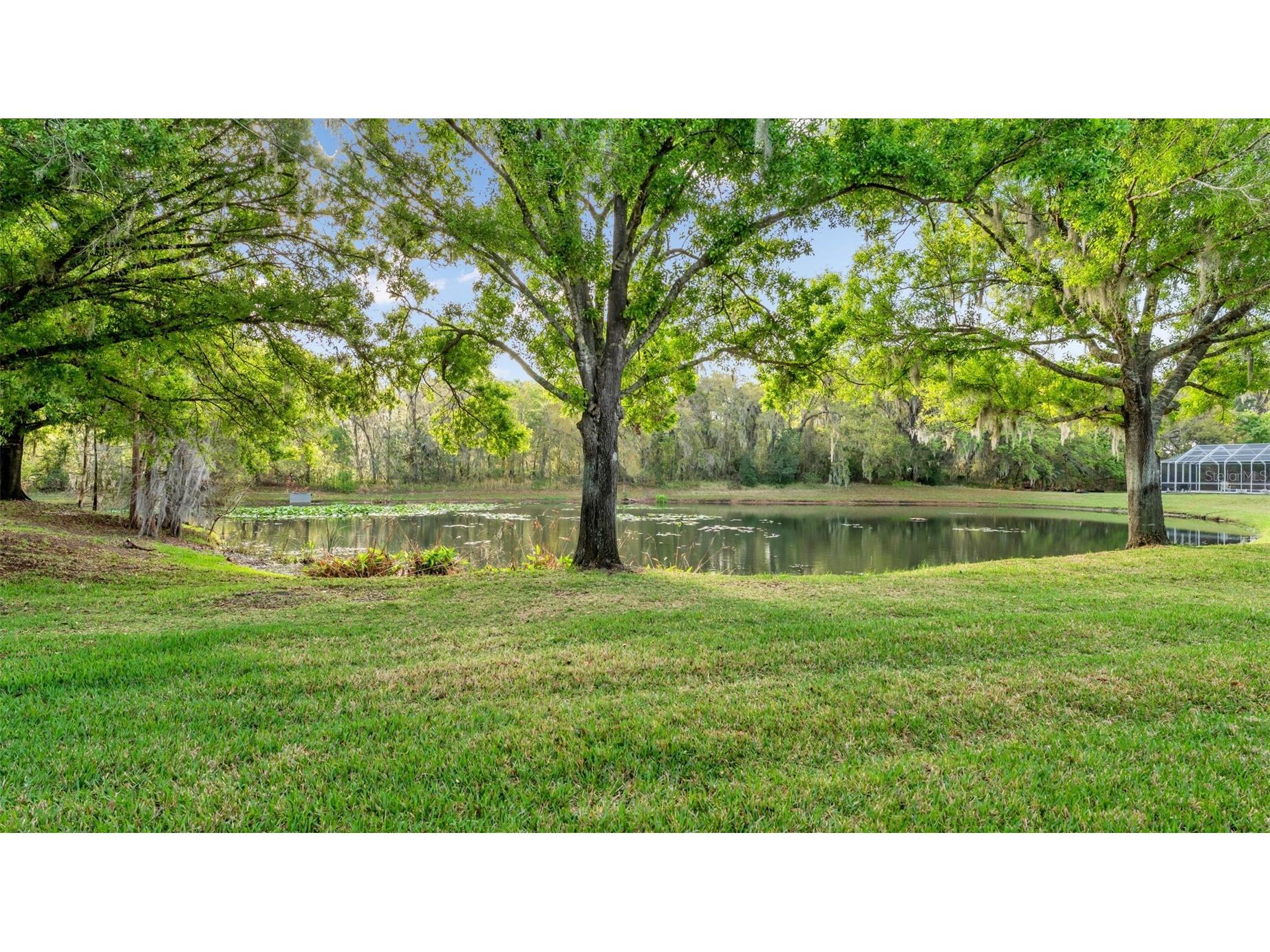 6540 Lake Clark Drive Lakeland FL 33813 L4960768 image30