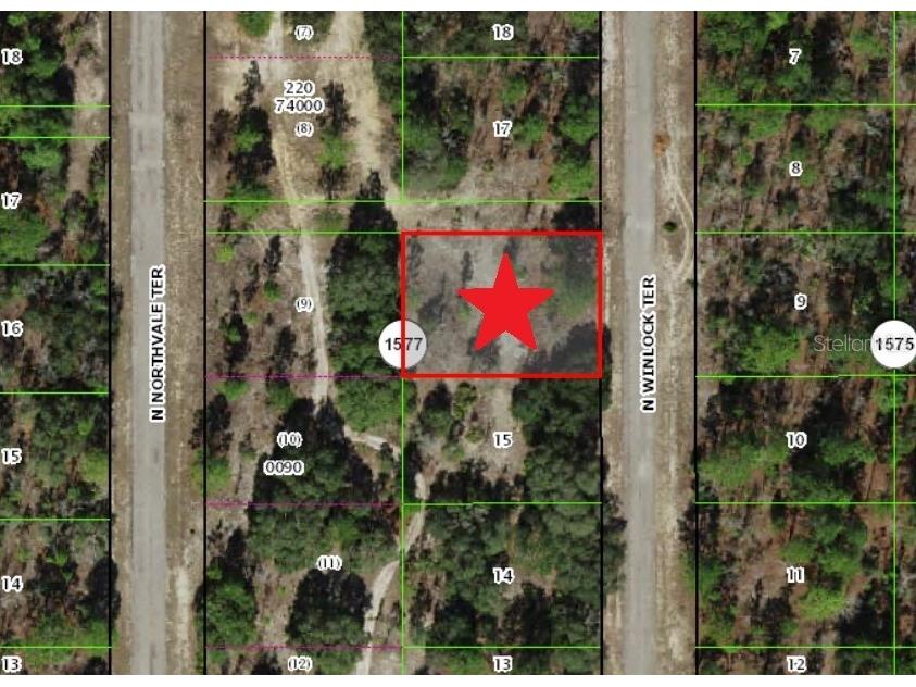 6540 N Winlock Terrace Dunnellon FL 34433 C7491960 image1