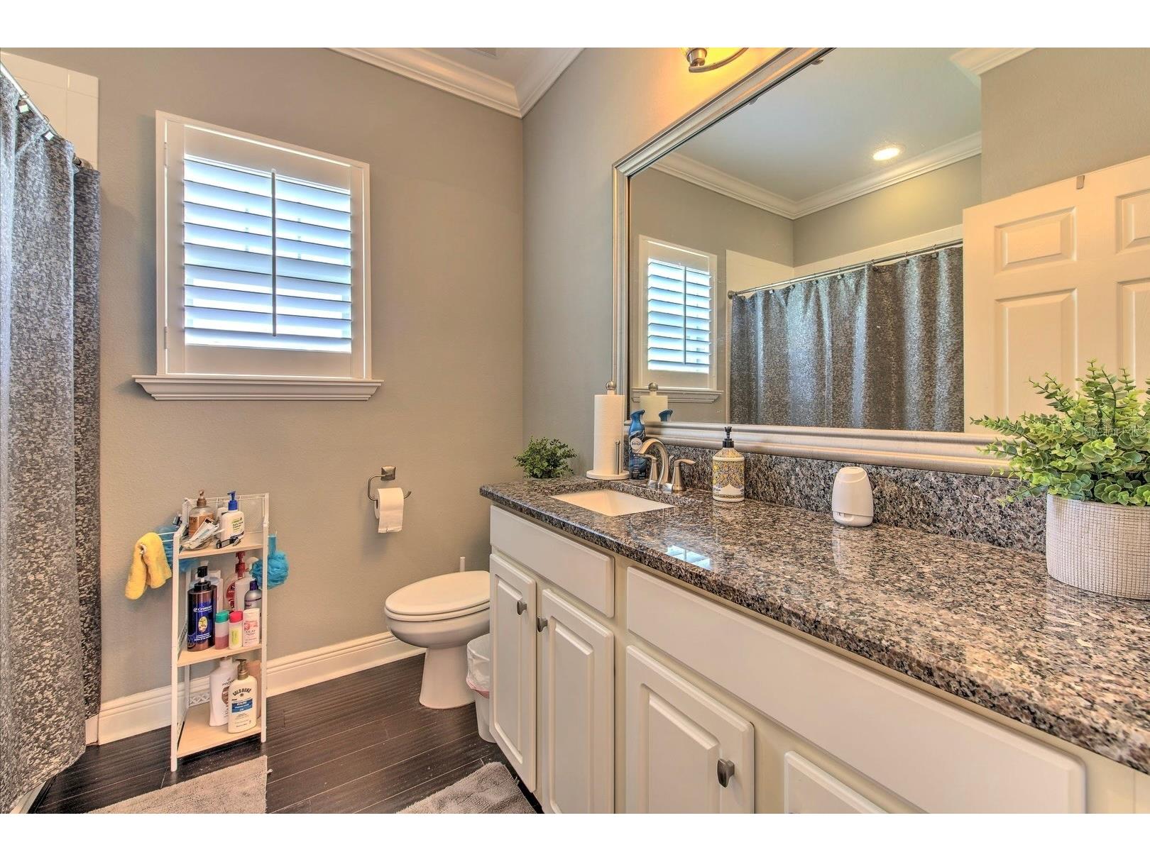 6540 Park Strand Drive Apollo Beach FL 33572 TB8522804 image24