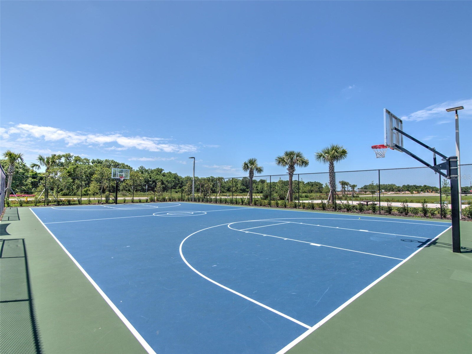 6540 Park Strand Drive Apollo Beach FL 33572 TB8522804 image34