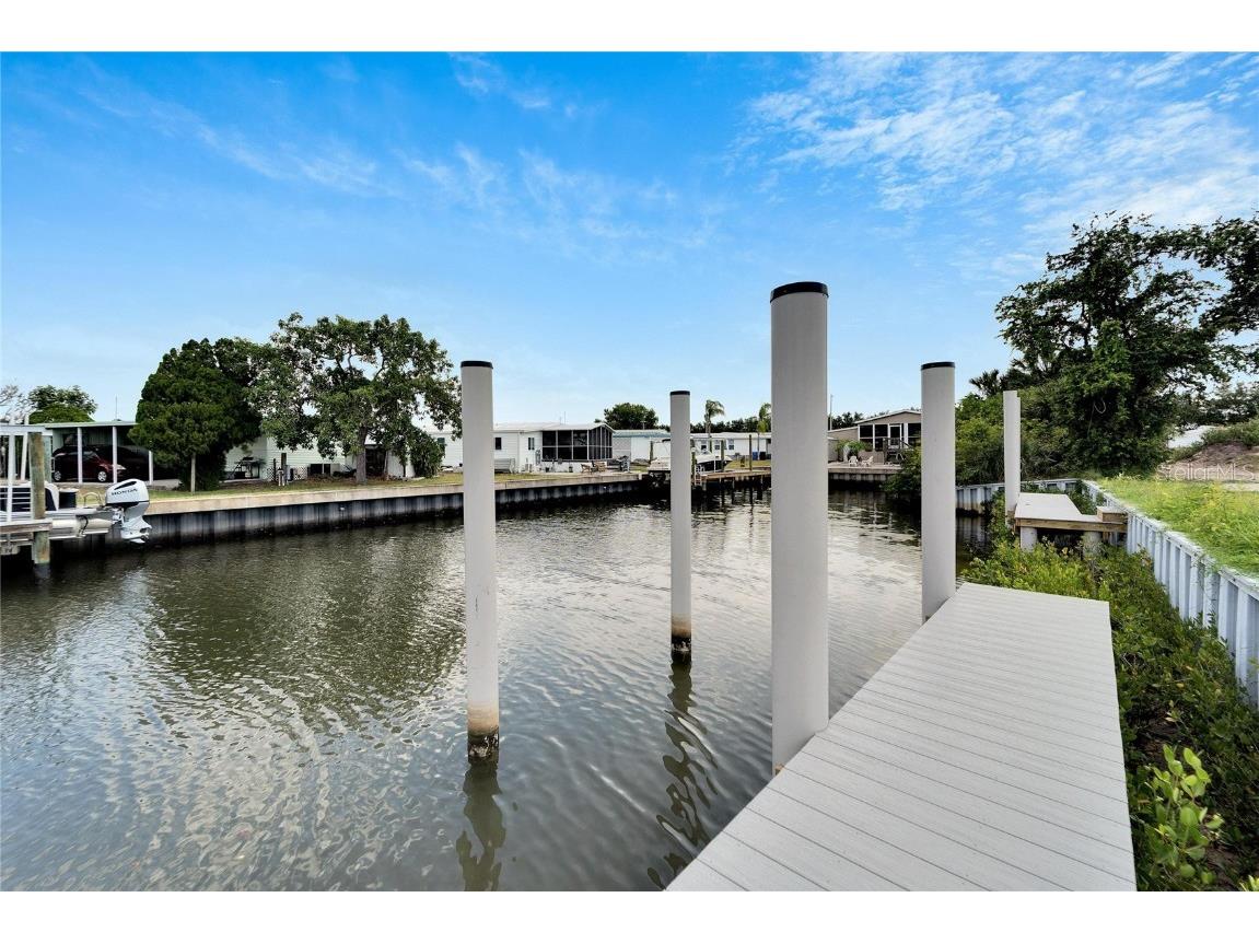 6540 Simone Shores Circle Apollo Beach FL 33572 T3530236 image65