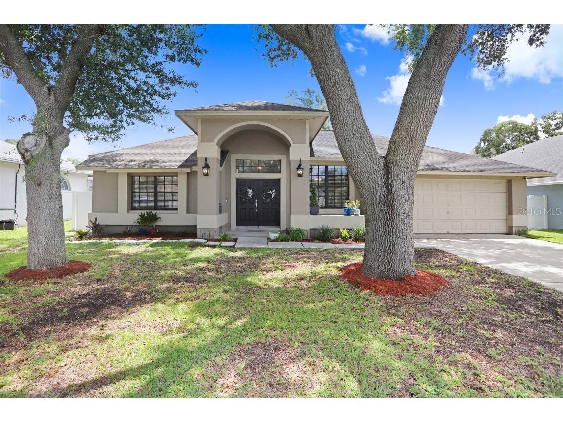 6540 Steeplechase Drive Tampa FL 33625 T3461601 image1