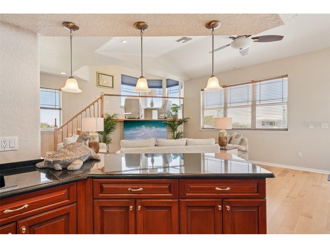 6543 Louise Court Hudson FL 34667 TB8396049 image27